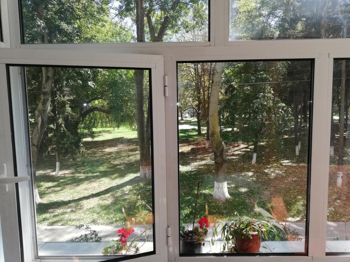 Valeria Apartament Daire Onesti Dış mekan fotoğraf